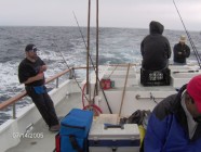 Click to Enter 'Fishing 012' Page